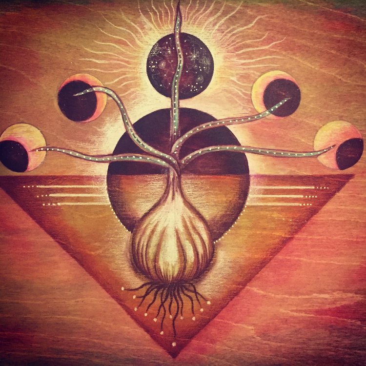 Fire Cider — onion bulb with moon phases on birch wood