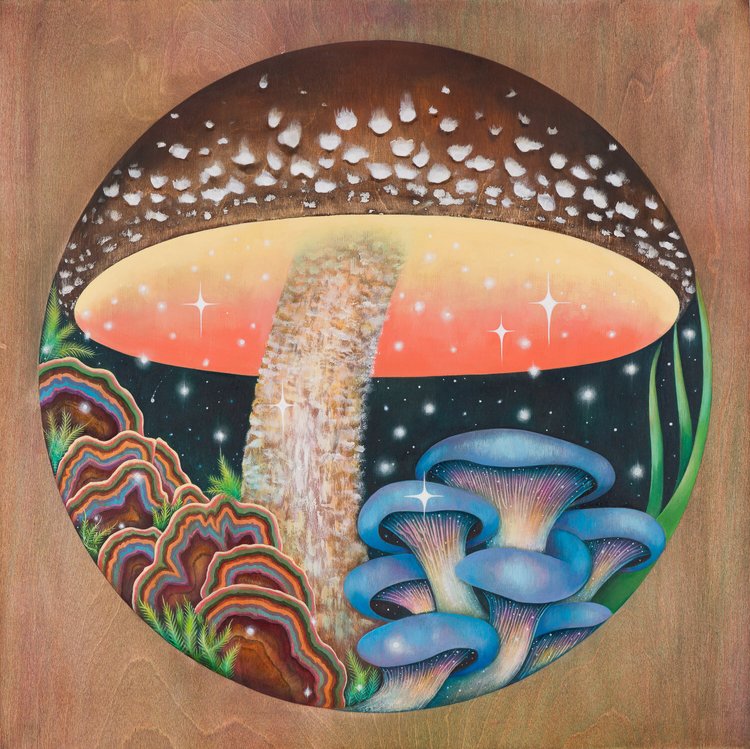 Low Country Fungi — sacred mushroom painting with turkey tail and blue oyster