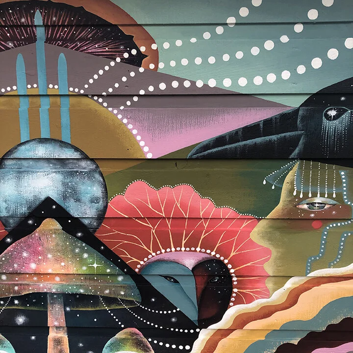 Psilocybin mural